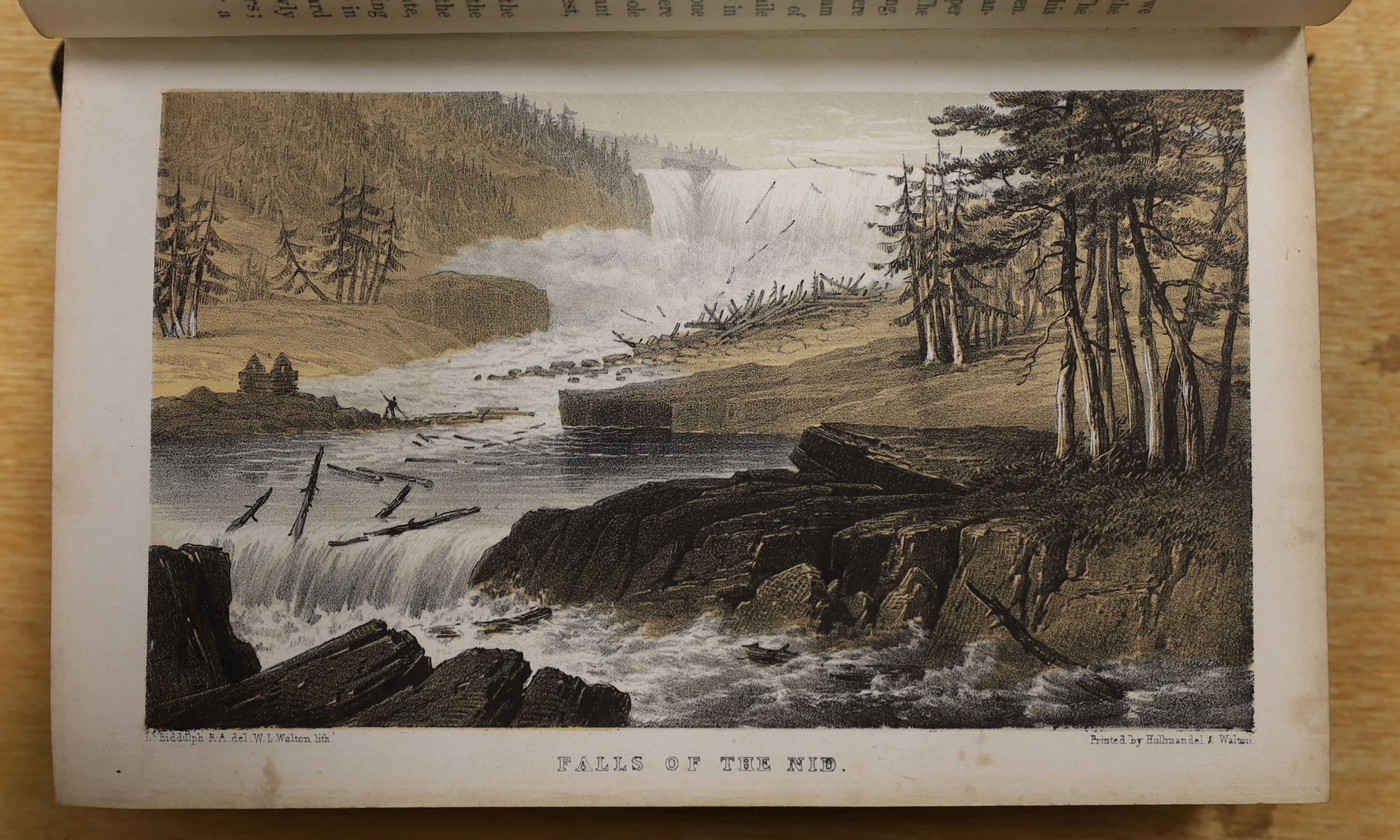 Fabricus, Jean-Chretien - Voyage en Norwége, avec Observations sur l'Histoire Naturelle et l'Histoire Naturelle et l'Economie...old calf backed marbled boards, gilt decorated spine. Paris and Strasbourg, 1802; Forester,